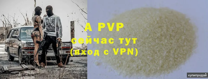 Alfa_PVP СК  закладки  Невельск 